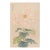Pink Spider Chrysanthemum by Hasegawa Japanese Botanical Art Print, 40" X 60" For Sale