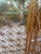 Vintage Japanese 4 Panel Teak Screen Circa 1960 For Sale - Image 4 of 5