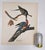 Audubon Bird Print – “Passenger Pigeon”, 1964 Abrams Folio – Vintage Ornithology Art 1964 print from "The Audubon Folio:...