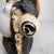 White Japanese Shōwa Shigaraki Ware Tanuki Statue, 1960s For Sale - Image 8 of 12