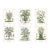1870 G. Dupuis Lithographs From the Vegetable Kingdom Unframed — Understated Antique Natural History Illustrations Set of 6 For Sale
