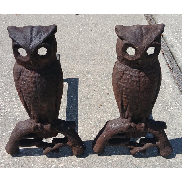 WOW! These antique Owls are fantastic. Purchased recently from a Central Florida estate. Yes, it does get cold there in...
