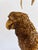 Late 20th Century Late 20th Century Palm Beach Chic Brass Macaw Parrot Tole Palm Tree Lamp For Sale - Image 5 of 11