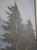 Oil on Canvas Mountain Scene - Artist Signed For Sale - Image 11 of 14