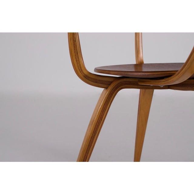 Pretzel Chair by George Nelson, 1950s For Sale - Image 9 of 14