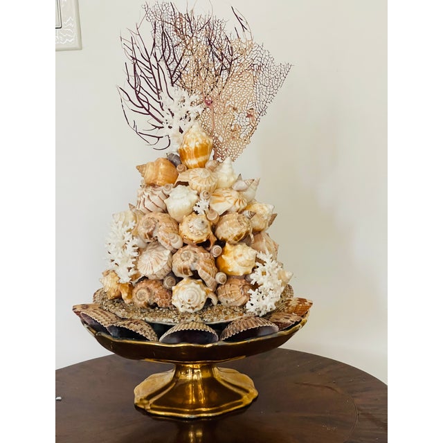 Gorgeous Sea Shell Topiary Assemblage For Sale - Image 4 of 8