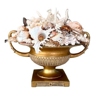 Large Neoclassical Coastal Shell Composition Urn – Nautical Fine Art Decor For Sale