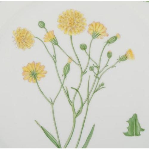 Flora Danica Lunch Plate in Hand-Painted Porcelain with Flowers from Royal Copenhagen, 1963 For Sale - Image 3 of 7