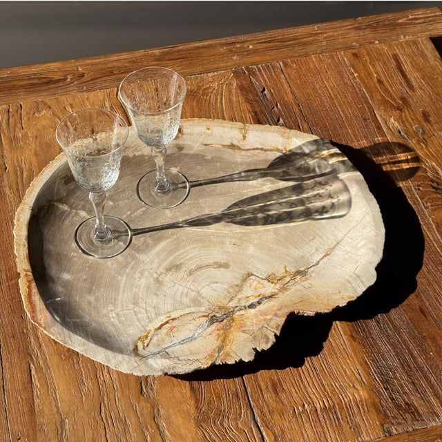 Beige Large Beige Petrified Wood Storage Tray or Dish For Sale - Image 8 of 18