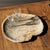 Beige Large Beige Petrified Wood Storage Tray or Dish For Sale - Image 8 of 18