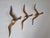 Brass Wall Decor Sculptures of Seagulls, Austria, 1963, Set of 3 For Sale - Image 4 of 14