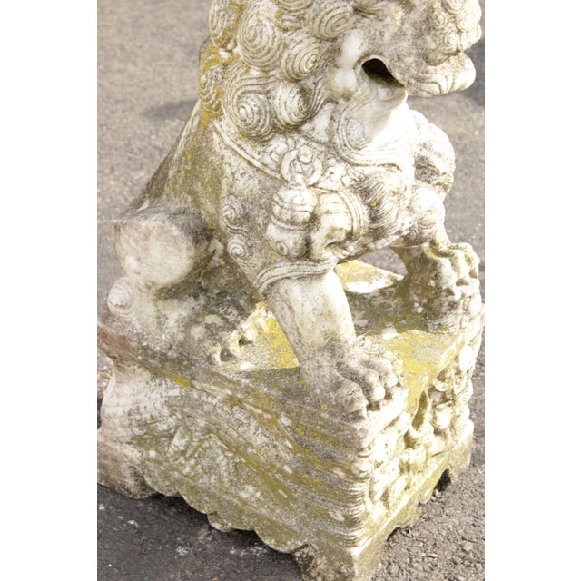 Early 20th Century Chinese Marble Foo Dog Guardian Statues A Pair