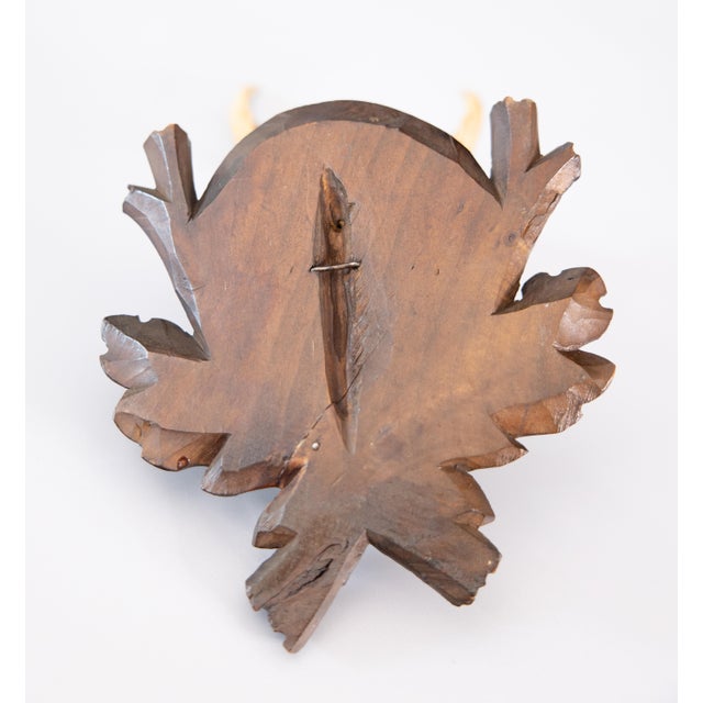 1920s Antique Black Forest Roe Deer Antlers Hunting Trophy Mount For Sale - Image 5 of 6