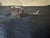 Vintage Dutch Silver Miniature Carriage and Horses For Sale - Image 4 of 12