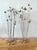 Metal Vintage 1960s William Bowie Kinetic Sculpture - Set of 2 For Sale - Image 7 of 8