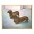 Dog Painting Dachshund Oil on Canvas Sign Dated 2017 Adorable Art Decor For Sale