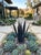 Handcrafted Moroccan Sculptural Metal Agave Succulent For Sale - Image 10 of 12