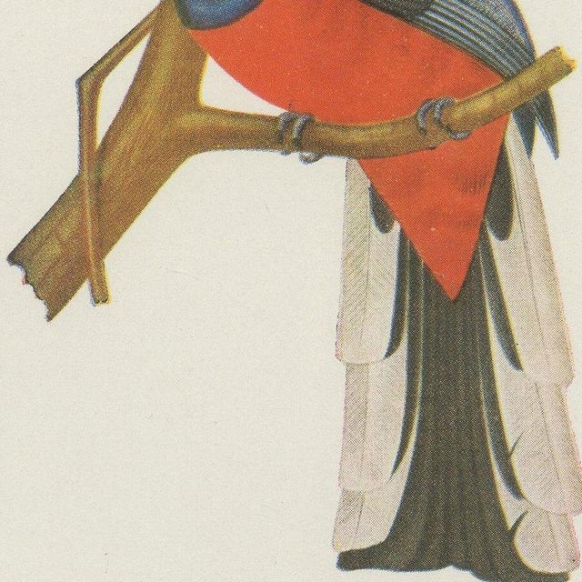 1940s After Descourtilz, Trogons and Jays, 1944, Paper For Sale - Image 5 of 12