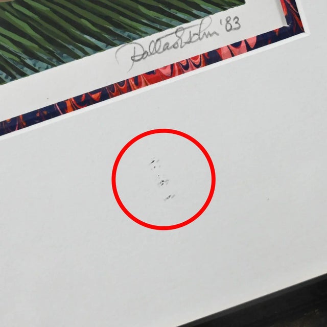 Vintage Dallas John Limited Edition Hand Signed Imperial Mates & Military Macaws Fine Art Serigraph Parrots For Sale - Image 11 of 13