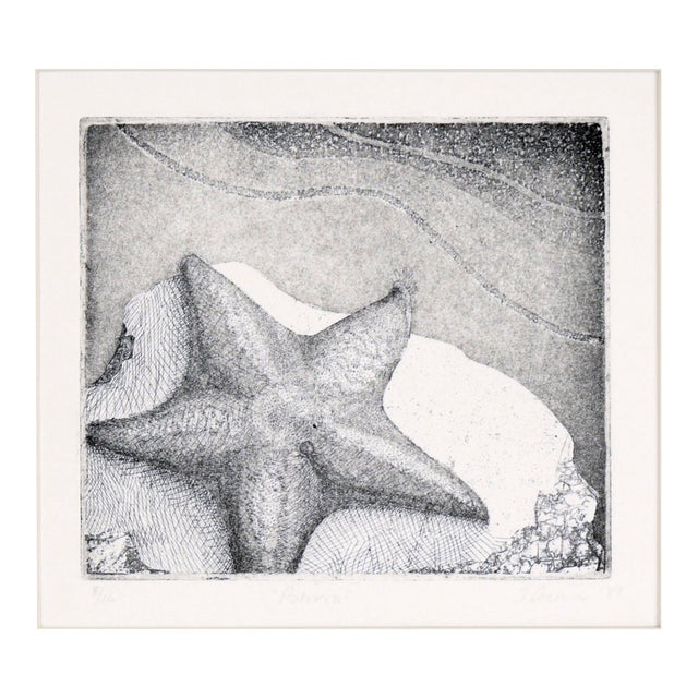 Starfish Etching in Ink on Paper (#8/16) by J Brown For Sale