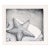 Starfish Etching in Ink on Paper (#8/16) by J Brown For Sale