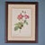 Modern Pierre-Joseph Redouté, Roses, 1950s, Lithographs, Framed, Set of 2 For Sale - Image 3 of 18