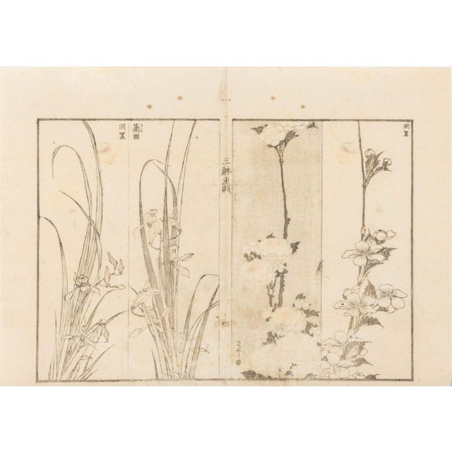 Japanese School Botanical Woodblock Prints, 3 For Sale In New York - Image 6 of 17