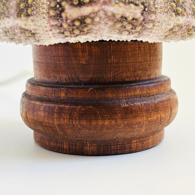 Shell Vintage Sea Urchin Lamp For Sale - Image 7 of 10