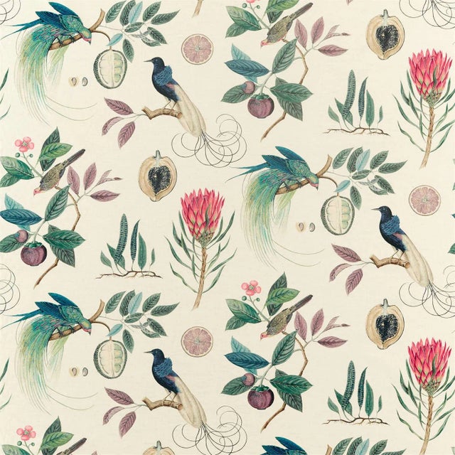 Sanderson Paradesia Fabric in Fig/Indigo - a Sample For Sale