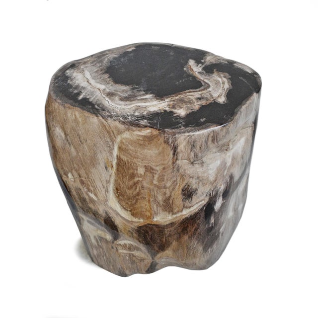 Vintage Petrified Stump Stool / Side Table For Sale - Image 4 of 5