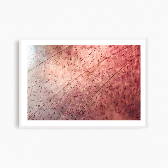 Pink 'In the Pink' Set of Botanical Photographs, Series of Four 18 X 12" Fine Art Photography Prints For Sale - Image 8 of 15