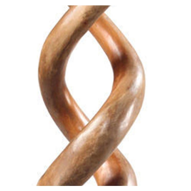 This impressive carved mahogany sculpture features an elegant, organically twisting form that rises dramatically from a...