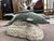 Late 20th Century Vintage Sculptural Glass Top Coffee Table, Three Dolphins, Marine Life, Exposed Top Fins, Textured Edge Glass For Sale - Image 5 of 11