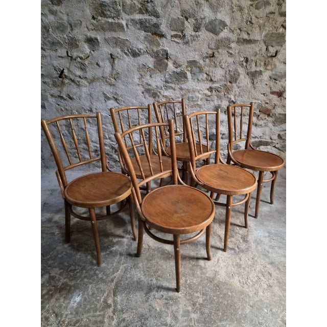 Bentwood Bistro Chairs from Fischel, Former Czechoslovakia, 1930s, Set of 6 For Sale - Image 14 of 18
