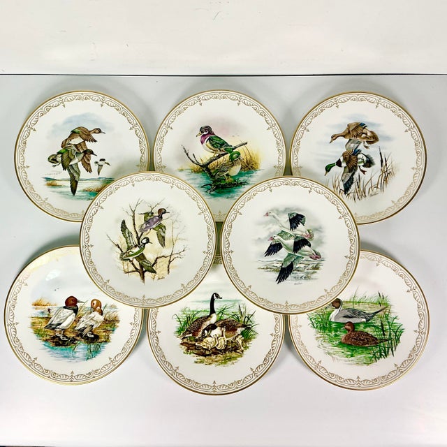 American 1980 Vintage Arts & Crafts English Bone China Water Fowl Birds Dinner Plates -Set of 8, Thanksgiving For Sale - Image 3 of 18
