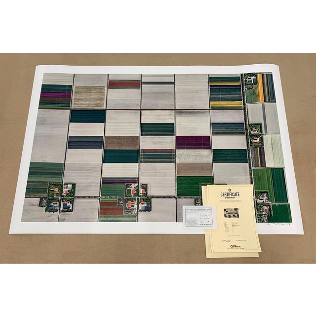 Paper "AV_Tulip_Fields_001" Contemporary Limited Edition Fine Art Photograph Print by Bernhard Lang For Sale - Image 7 of 12