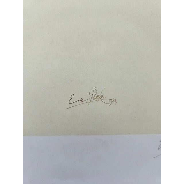 1980s Mid-Century Modern 1988 Eric Peake Spix's Macaw Signed Limited Edition Print For Sale - Image 5 of 9