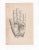 Figurative "Fortune Telling Hand" Digital Print by Louise Weinberg For Sale - Image 3 of 3