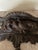 Small Carved Wooden Bird Consoles, Set of 2, in Very Good conditions. Designed before 1890