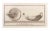 Oil lamp is an etching realized by aniello cataneo (1732-1805). The etching belongs to the print suite “antiquities of...