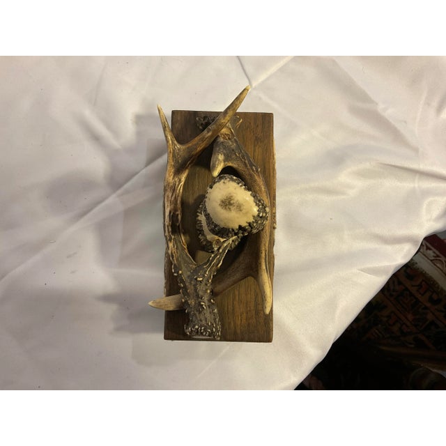 Early 20th Century Vintage Handmade Deer Antler Ink Blotter For Sale - Image 5 of 6