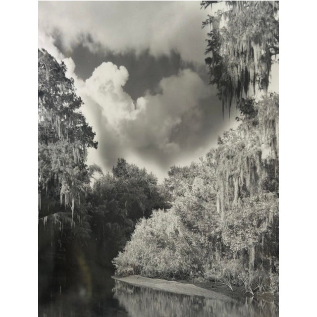 Clyde Butcher Special Edition Photograph ‘Trapper Nelson’s’ Signed For Sale - Image 4 of 7