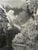 Clyde Butcher Special Edition Photograph ‘Trapper Nelson’s’ Signed For Sale - Image 4 of 7