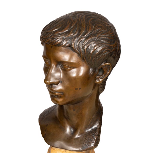 Bronze Italian Grand Tour Bronze Bust of Caesar For Sale - Image 8 of 11