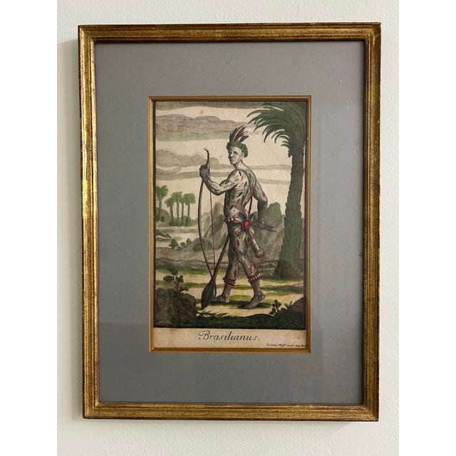 Mid 18th Century Antique 18thC Jeremias Wolff Hand-Colored Etching Brasilianus For Sale - Image 5 of 5