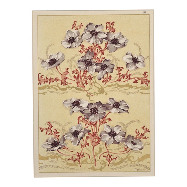 C1900 Art Nouveau Botanical Design Chromolithograph-Nasturtium, Matted For Sale