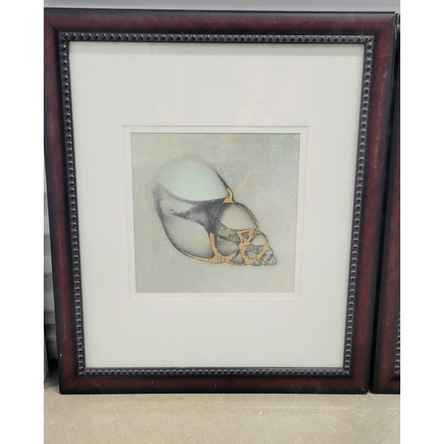 Coastal 1990s Set of Large Robb and Stucky Coastal Framed Pale Blue Green Seashell Wall Art Prints- Set 4 For Sale - Image 3 of 12