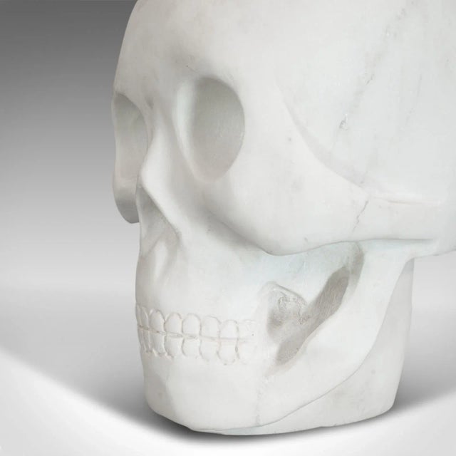 20th Century Marble Decorative Ornamental Skull For Sale - Image 10 of 11