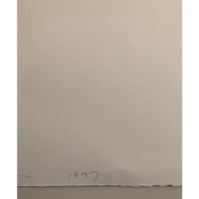 Brown Cindy Bernard, Location Proposal Iris Print Ed. 12 Hand Signed Cyclone Racer (Coney Island, NY), 1997 For Sale - Image 8 of 9