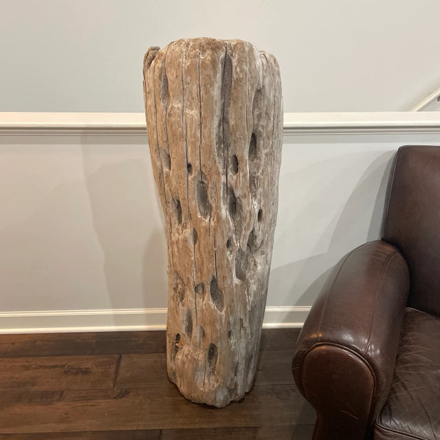 Brown 2006 Driftwood Sculpture For Sale - Image 8 of 13